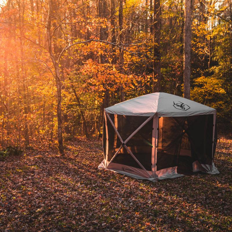 Image of a fully set up beige Gazelle screen tent with black mesh walls, placed on a forest floor covered in autumn leaves. The image is a wide-angled shot, with sunbeams filtering through the yellow, orange, and green trees in the background