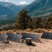 Image of multiple Jackery portable foldable solar panels deployed on the ground and connected to a Jackery power station, black photovoltaic panels with orange accents, angled front view in a mountain outdoor setting.
